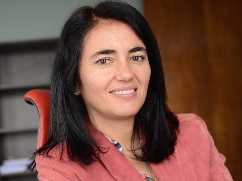 Photo of Dr. Arachu Castro 