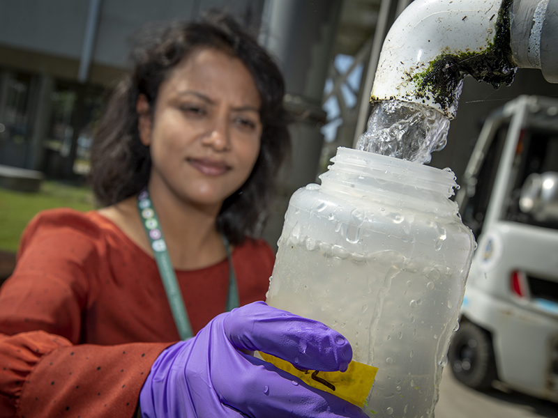 Woman taking water sample