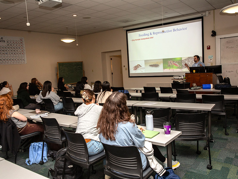 Trop med bug demonstration in an undergrad classroom