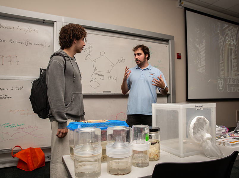 Classroom vector control demonstration