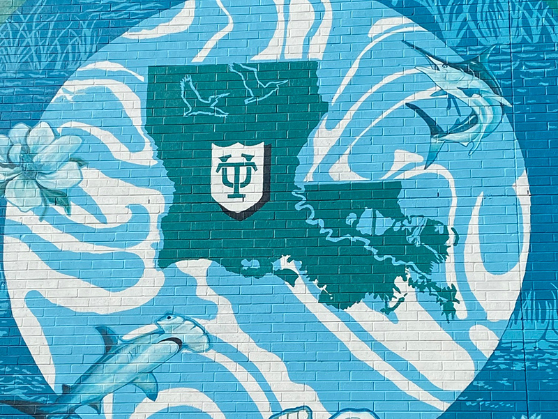 NASA mural of Louisiana on Canal Street building