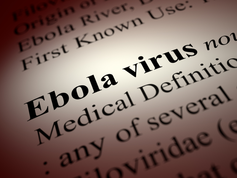 A stylized photo (angled diagonally) of the medical definition of Ebola virus.