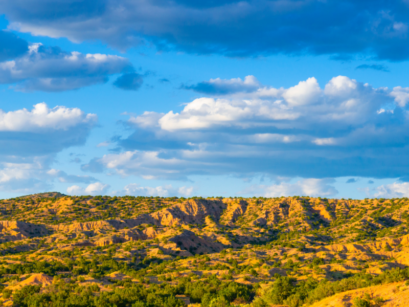 New Mexico landscape with blue sky, white clouds, and rolling brown hills covered in green foliage.