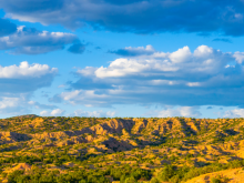 New Mexico landscape with blue sky, white clouds, and rolling brown hills covered in green foliage.